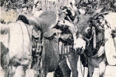 jessejeromefoutz_parade040